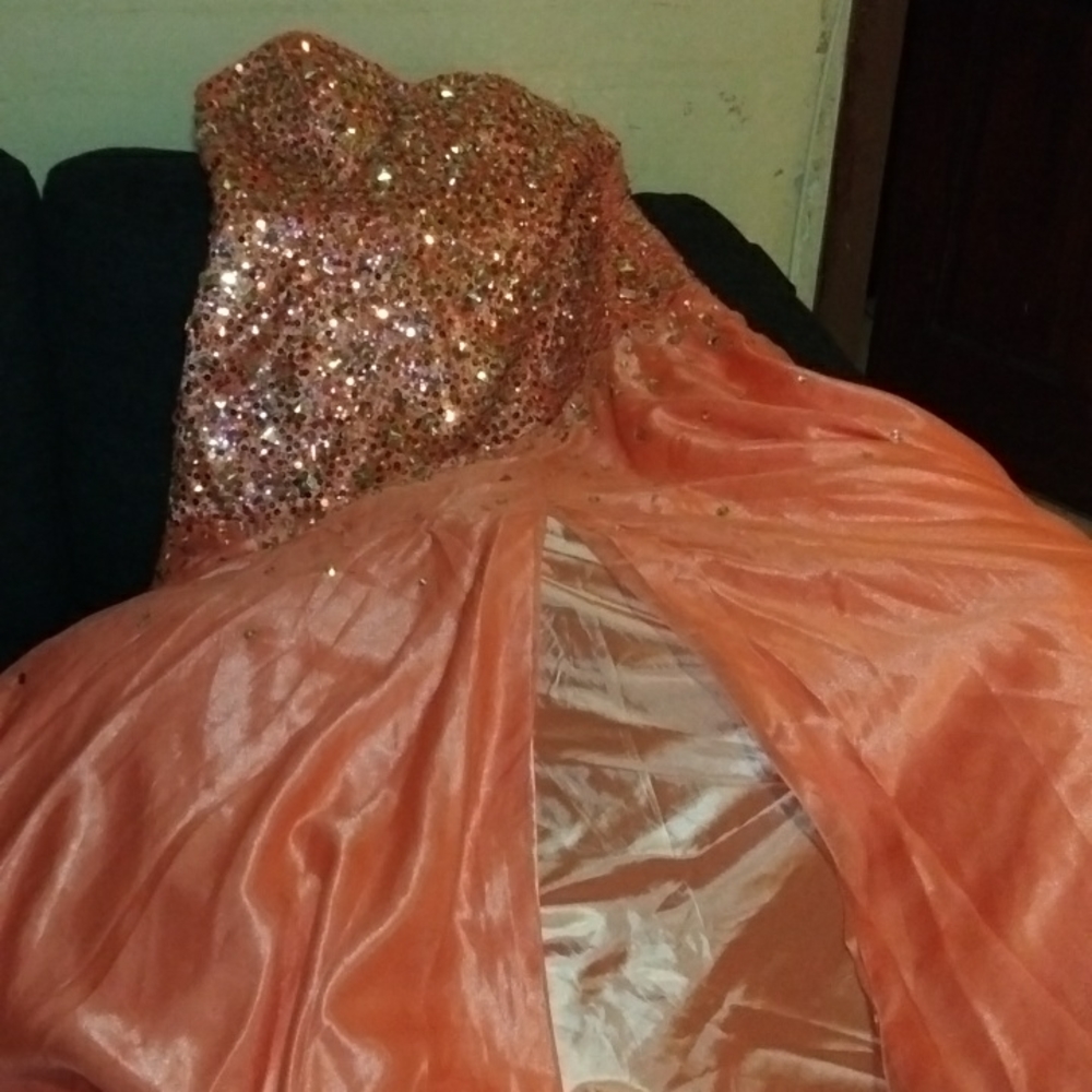 Anny Lee Dress Size 2XL